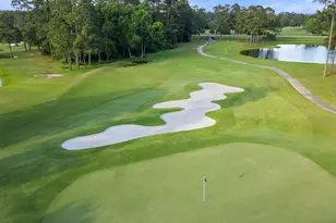 3 Belcarra Pl, Spring, TX 77382 - Photo 41