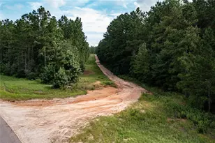 10775 Ruger Rd, Willis, TX 77378 - Photo 5