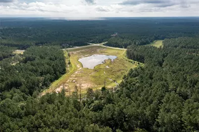 10775 Ruger Road, Willis, TX 77378 - Photo 9