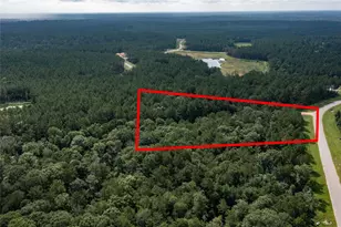 10775 Ruger Rd, Willis, TX 77378 - Photo 3