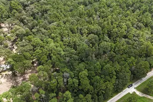 15455 Sharon Ln, Conroe, TX 77302 - Photo 7