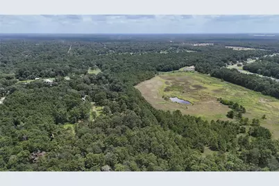 15455 Sharon Lane, Conroe, TX 77302 - Photo 3