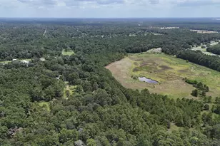 15455 Sharon Ln, Conroe, TX 77302 - Photo 3