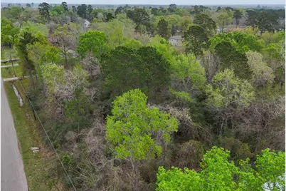 17051 Concord Drive, Conroe, TX 77385 - Photo 7