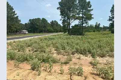 31879 Boone Road, Waller, TX 77484 - Photo 7