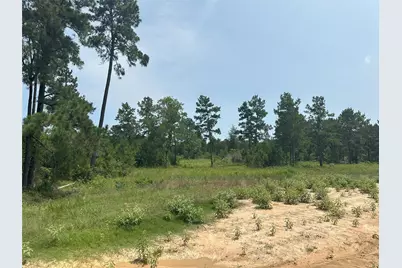 31879 Boone Road, Waller, TX 77484 - Photo 11