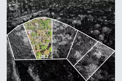 0-153269 Roman Forest Tbd, Roman Forest, TX 77357 - Photo 1