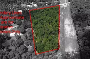 7800 Honea Egypt, Montgomery, TX 77316 - Photo 7