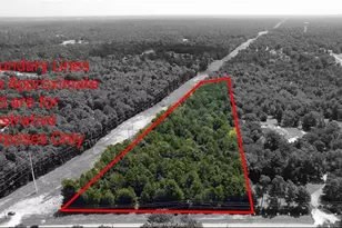 7800 Honea Egypt, Montgomery, TX 77316 - Photo 3