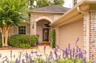 19 Palmer Green Pl, The Woodlands, TX 77381 - Photo 1