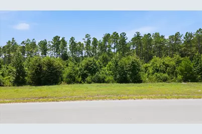 15977 Ridge Oak Road, Willis, TX 77378 - Photo 3