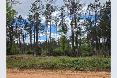 Tbd Kelley Road, Livingston, TX 77351 - Photo 3