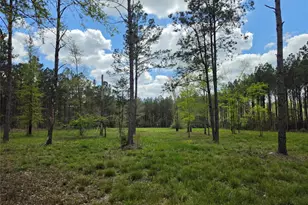 Tbd Kelley Rd, Livingston, TX 77351 - Photo 1