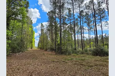 Tbd Kelley Road, Livingston, TX 77351 - Photo 5