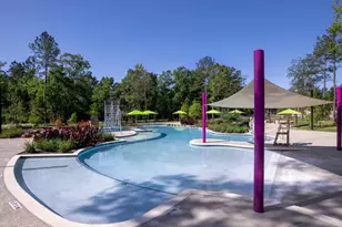 434 Golden Cascade Ct, Willis, TX 77318 - Photo 11