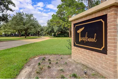 987 S Post Oak Lane, Houston, TX 77056 - Photo 41