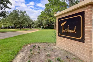 987 S Post Oak Ln, Houston, TX 77056 - Photo 41