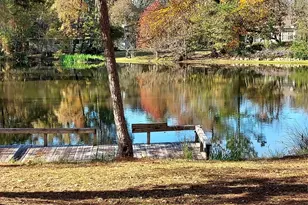 29 Thomas Lake Rd, Riverside, TX 77367 - Photo 27