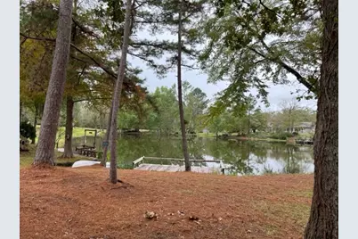 29 Thomas Lake Road, Riverside, TX 77367 - Photo 5