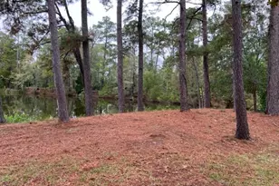 29 Thomas Lake Rd, Riverside, TX 77367 - Photo 15