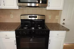 3015 Cotter Lake Cir, Missouri City, TX 77459 - Photo 11