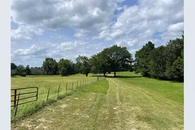 1666 US Highway 84, Oakwood, TX 75855 - Photo 3