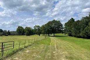 1666 US Hwy 84, Oakwood, TX 75855 - Photo 3