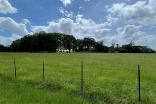 1666 US Hwy 84, Oakwood, TX 75855 - Photo 5