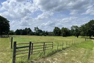 1666 US Hwy 84, Oakwood, TX 75855 - Photo 41