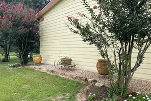 1666 US Hwy 84, Oakwood, TX 75855 - Photo 41
