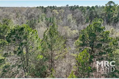 00 Recreational Road 255, Colmesneil, TX 75938 - Photo 27