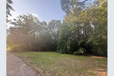 Tbd Forse Drive, Woodville, TX 75979 - Photo 1