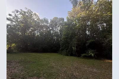 Tbd Forse Drive, Woodville, TX 75979 - Photo 3