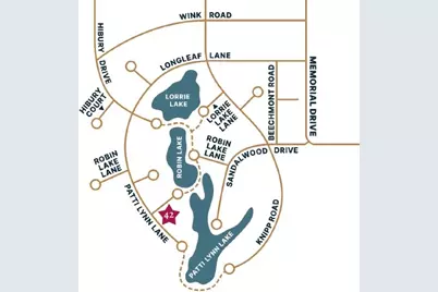 42 Patti Lynn Lane, Houston, TX 77024 - Photo 39