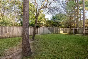 18 Petal Park Pl, The Woodlands, TX 77382 - Photo 35