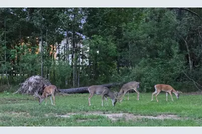 455 E Walton Road, Lumberton, TX 77657 - Photo 27