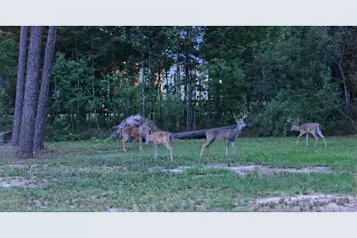 455 E Walton Road, Lumberton, TX 77657 - Photo 29