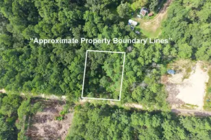 0 Largent Dr, Plantersville, TX 77363 - Photo 1