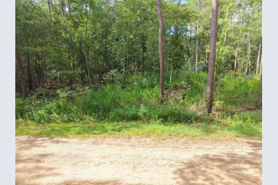 0 Largent Drive, Plantersville, TX 77363 - Photo 3