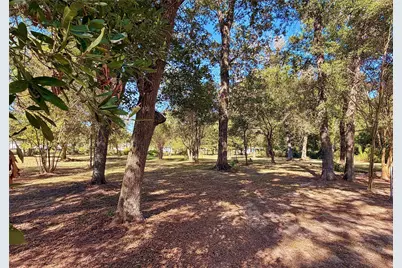 1265 County Road 6479, Dayton, TX 77535 - Photo 5