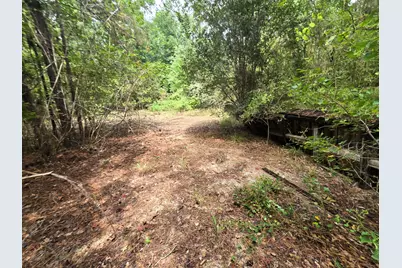 142 Idylwood Drive, Goodrich, TX 77335 - Photo 9