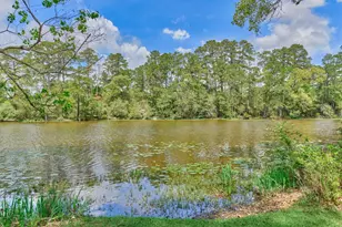 16727 Boothill Rd, Stagecoach, TX 77355 - Photo 41