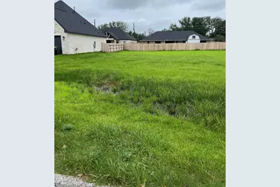 3814 Doveswood Circle, Needville, TX 77461 - Photo 5