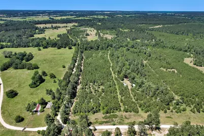 0 Williamson Way, Lovelady, TX 75851 - Photo 13