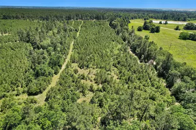0 Williamson Way, Lovelady, TX 75851 - Photo 19