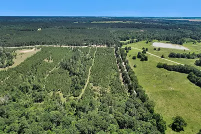 0 Williamson Way, Lovelady, TX 75851 - Photo 3