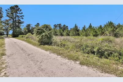 0 Williamson Way, Lovelady, TX 75851 - Photo 21
