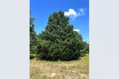 15136 County Road 424, Somerville, TX 77879 - Photo 11