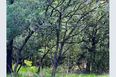 15136 County Road 424, Somerville, TX 77879 - Photo 7