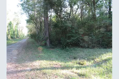 Tbd Holly Lane, New Caney, TX 77357 - Photo 3